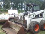 bobcat.jpg